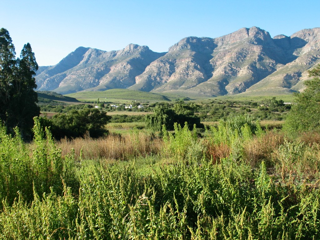 Groot Swartberge
Ein Blick auf die großen Schwarzen Berge
Schlüsselwörter: Groot Swartberge