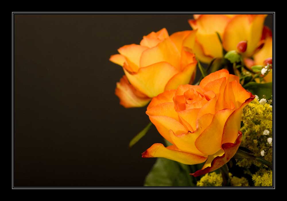 Blumenstrauss
Schlüsselwörter: Blume, Blumen, Blumenstrauss, Liebe, Versöhnung