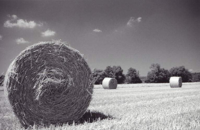 Strohballen
Schlüsselwörter: Stroh, Landwirtschaft, Schwarz, Weiss