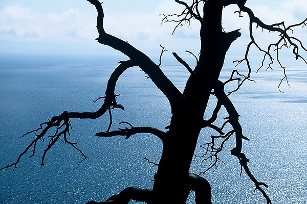 Baikalsee in Sibirien
Schlüsselwörter: Baikalsee, Sibirien