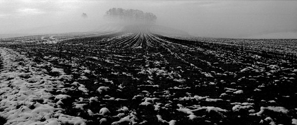 [b]Morgenstimmung[/b]
