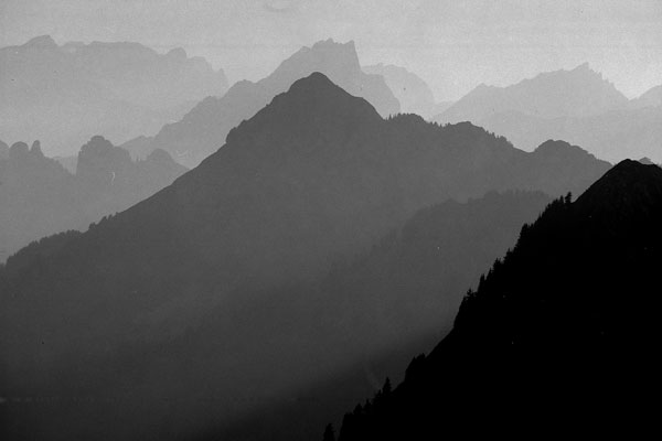 Gegenlicht im Obertoggenburg
