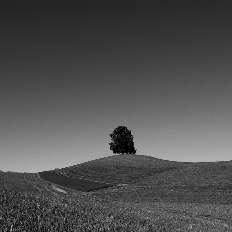 Sommer
