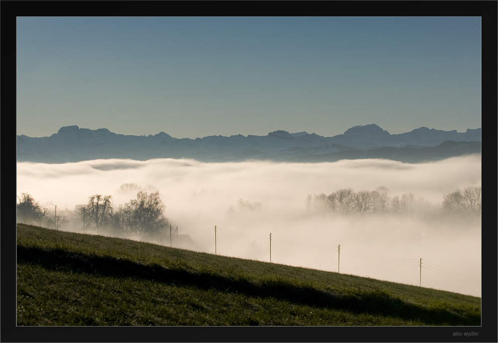 morgennebel über dem zuerichsee
