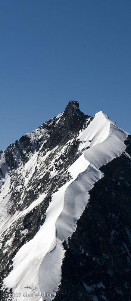 bico bianco - biancograt mit bernina
