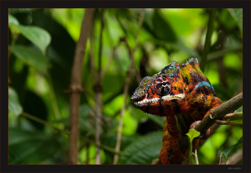 leuchtet wie die bahnhofstrasse

