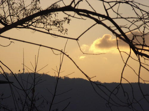 WOLKEN
BLICK VOM KREIS 6 RICHTUNG ÜETLIBERG IN DER ABENDSTIMMUNG
Schlüsselwörter: ABENDSTIMMUNG, WOLKEN, ZÜRICH