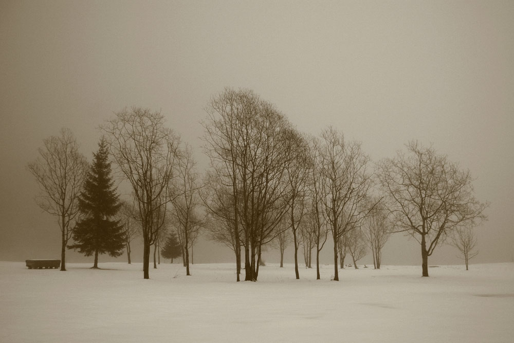 Klöntalersee
Schlüsselwörter: Glarus, Klöntalersee