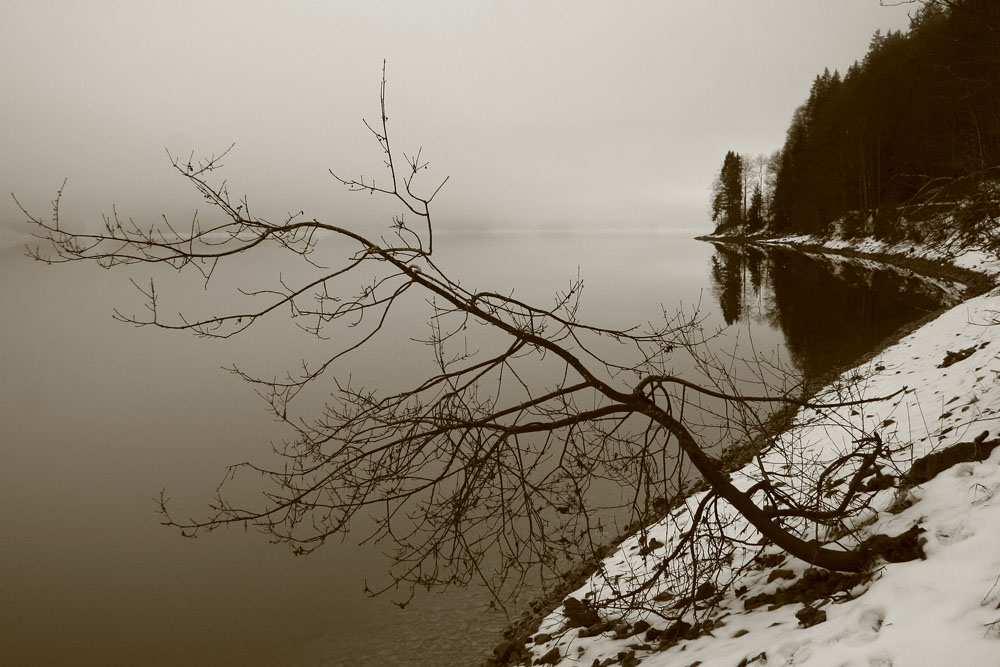 Klöntalersee
Schlüsselwörter: Glarus, Klöntalersee