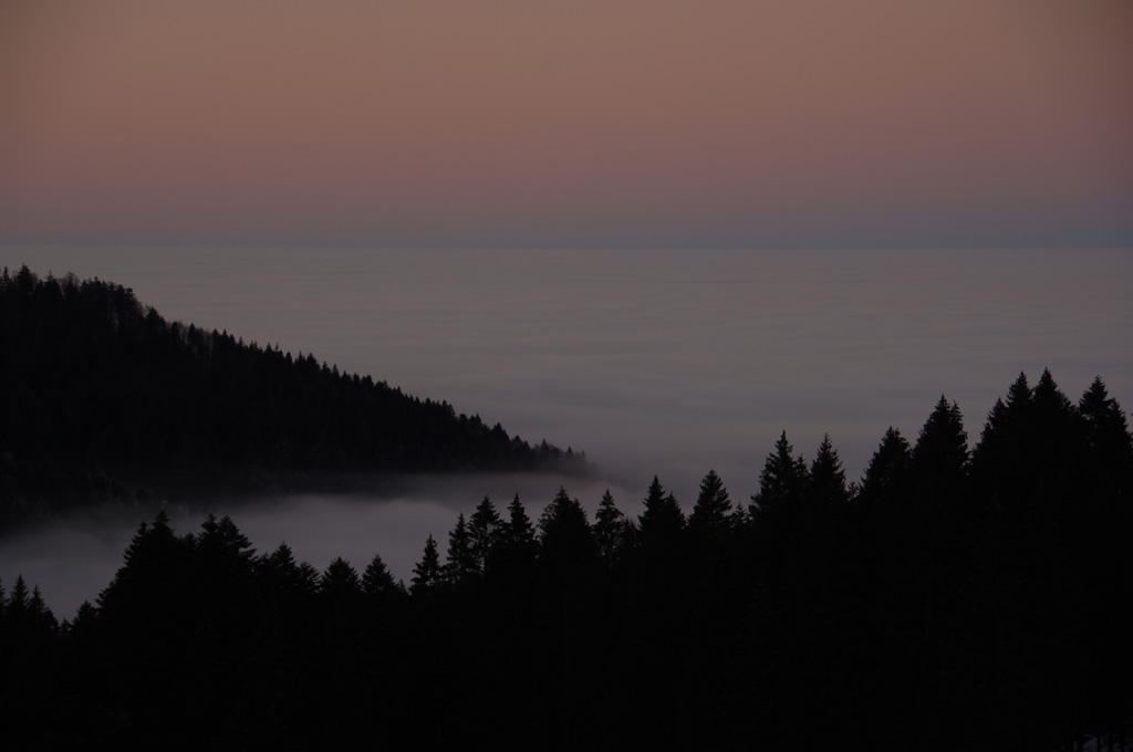 Abend auf dem Wildspitz (ZG)
