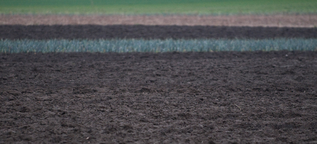 Agrarlandschaft im Surental
Schlüsselwörter: Landschaft, Felder, Surental