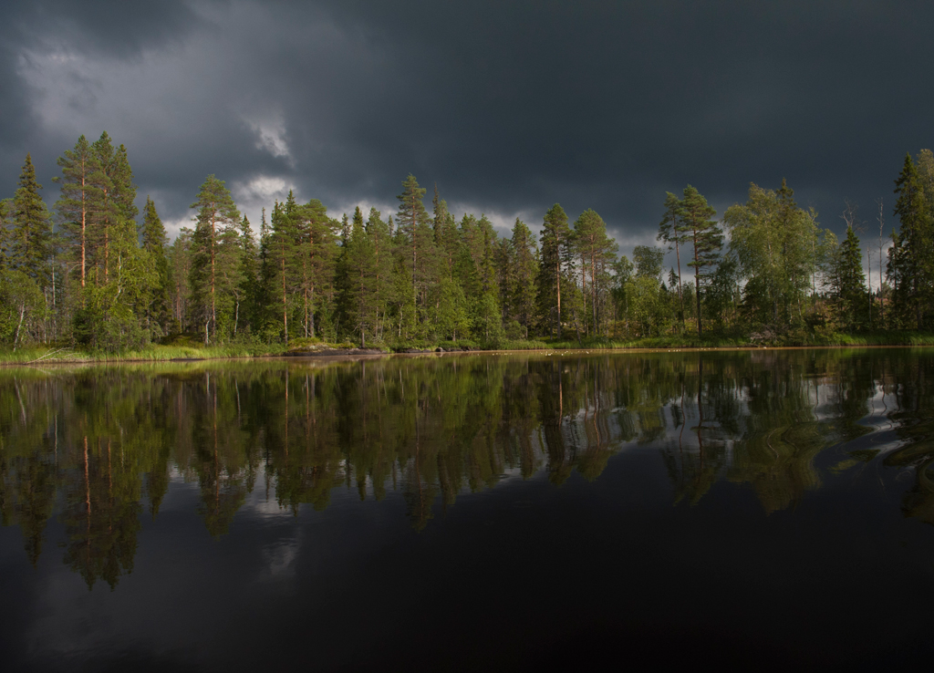Bei Sonnenuntergang
Schlüsselwörter: Wald, Sonnenuntergang, Wasser, Gewitter, Wolken