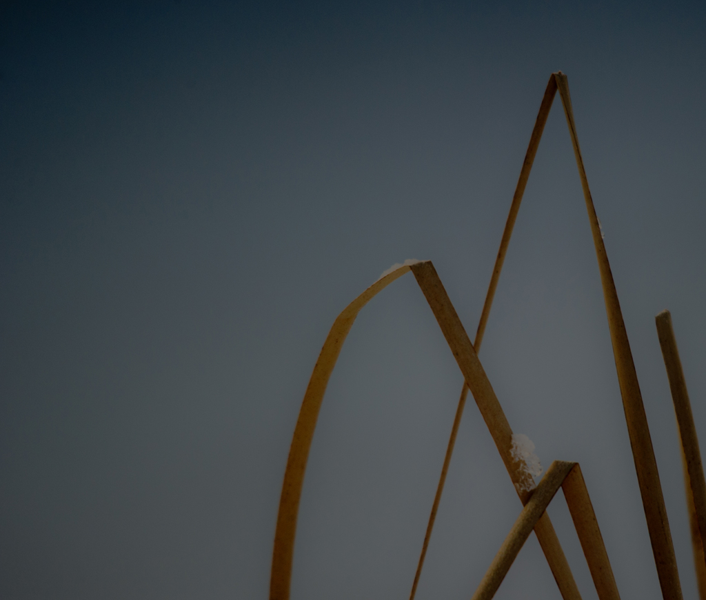 Winter an unserem Gartenteich
