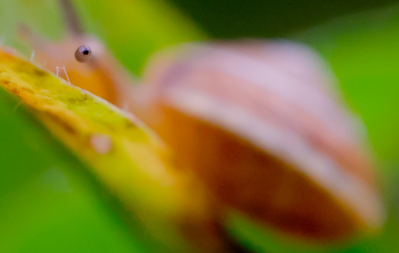 (bewusst Farben etwas verstärkt)
