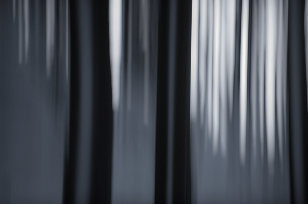 Verschneiter Wald von Westen (Brünig, BE)
Schlüsselwörter: Wald, Winter