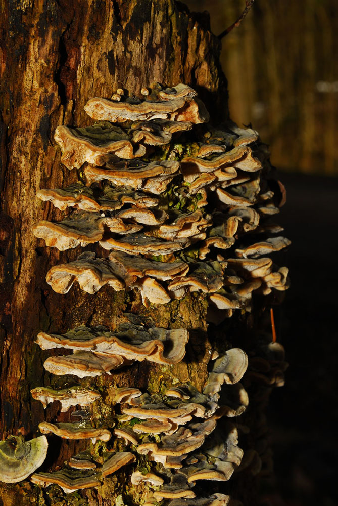 Im Teufelskeller in Dättwil(AG)
