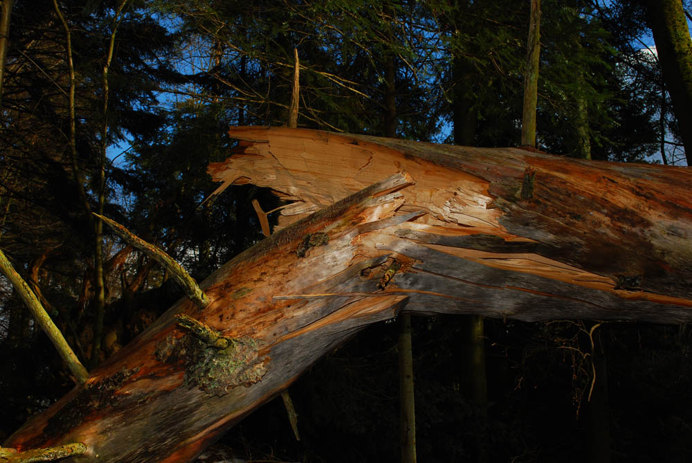 Im Teufelskeller in Dättwil(AG)
