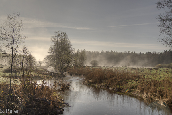 Morgenstimmung
Schlüsselwörter: Landschaft Nebel Bach Morgenstimmumg