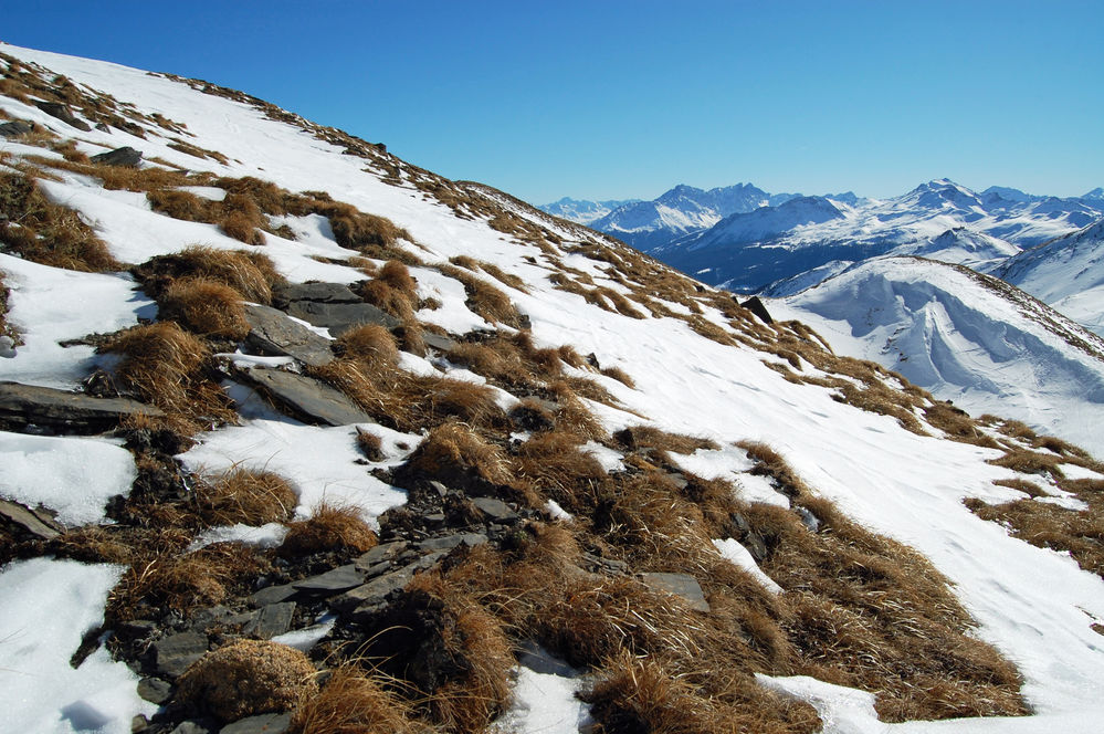 Lenzerheide Cumascheals
