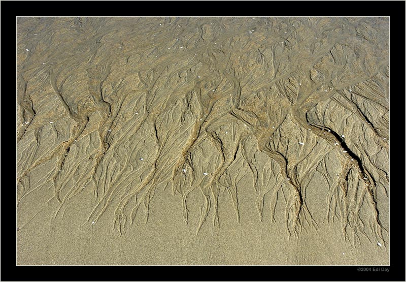 nur Sand
an einem Strand im Westen der Südinsel Neuseelands
Schlüsselwörter: Neuseeland, Strand, Sand