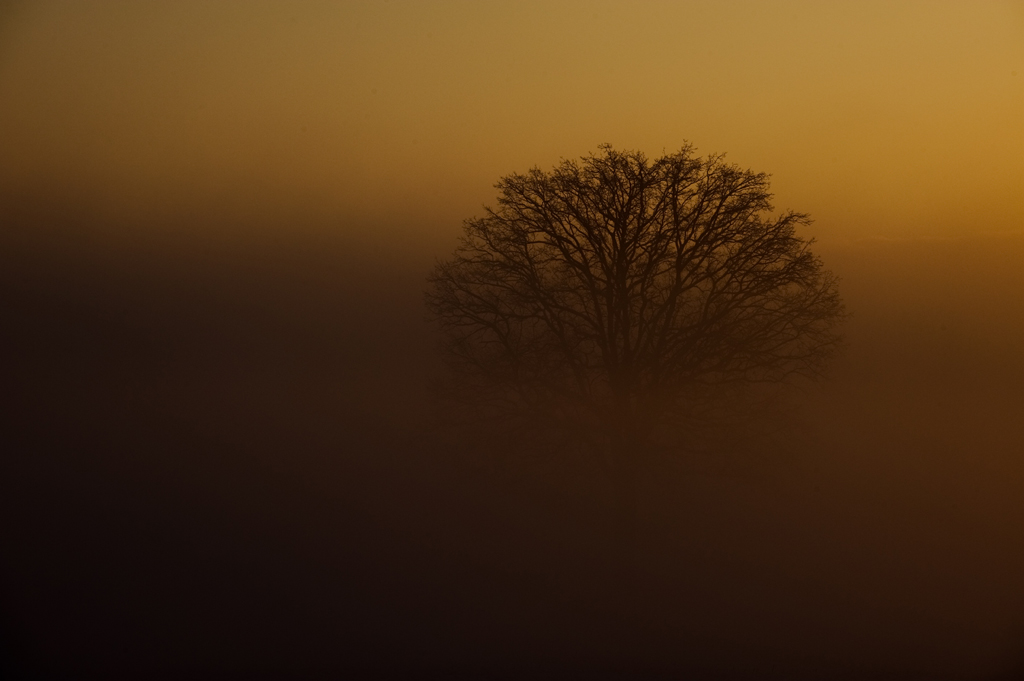 Sonnenaufgang im Surental
